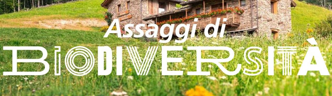 SAPORI DI SELVAGGINA